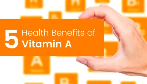 5 Amazing Health Benefits of Vitamin A - Shikha Diet