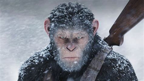 Planet Of The Apes 2024 Trailer Release Date - Sayre Courtnay