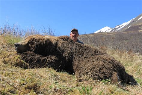 Alaska Brown Bear Hunting - Guided Bear Hunts on the Alaska Peninsula