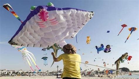 Annual Kite Flying competition attracts kite enthusiasts