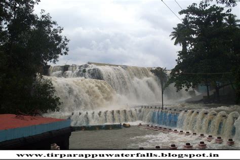 Tirparappu Water Falls: Falls Image