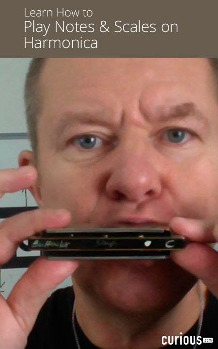 Harmonica for Beginners | Harmonicas, Harmonica lessons, Harmonica how to play