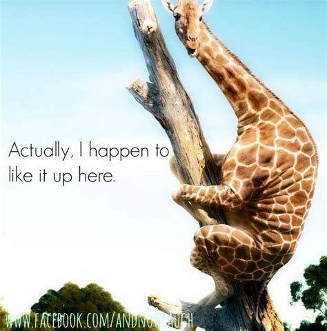 Funny Giraffe Quotes. QuotesGram