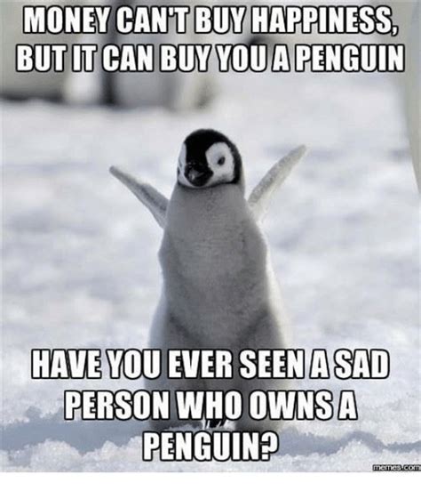 24 Memes That Prove Penguins Are The Funniest Animals On Earth - Small Joys