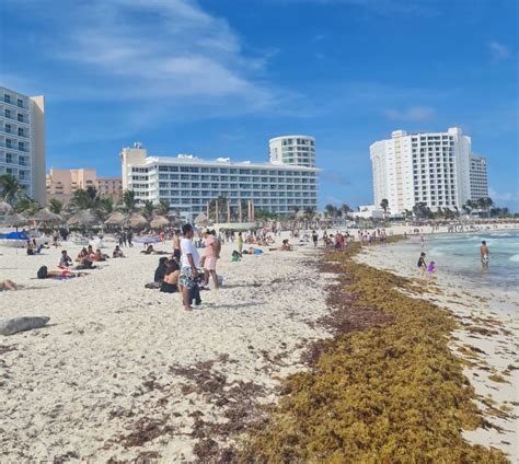 Seaweed Piles Up On Cancun Beaches - What Visitors Need To Know - Travel Off Path