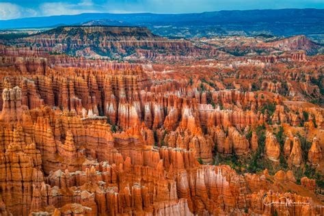 Hoodoo Harmony | Bryce Canyon National Park, Utah | Chris Marler Photography