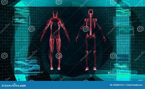 Digital X-Ray Scan of Human Body (HD) Stock Footage - Video of ...