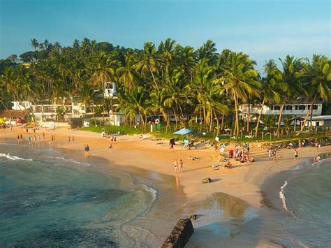 Mirissa Beach, Galle - Timings, Water Sports, Best Time to Visit