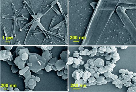 Effect of amine-modified boron nitride (BN) on ammonium perchlorate decomposition - RSC Advances ...