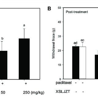 Anti-mechanical allodynia effects of XSLZJT on paclitaxel-induced... | Download Scientific Diagram