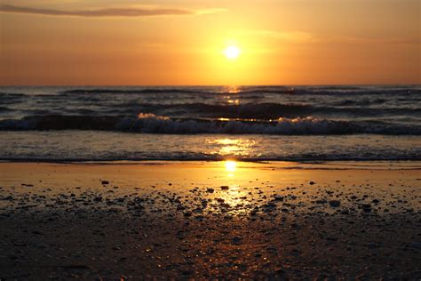 A Group of Friends on the Beach at Sunset · Free Stock Photo