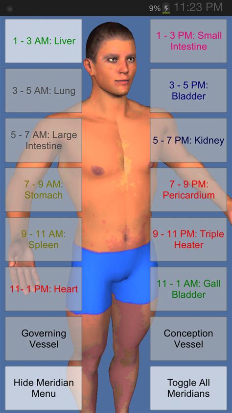 Meridian with Horary Clock Times for the Energy Meridians | Acupressure, Acupuncture, Meridians