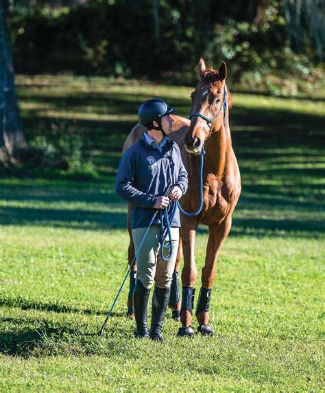 By using natural horsemanship groundwork techniques, you can develop a ...