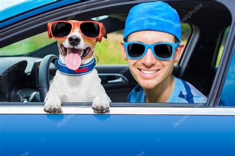 Dog car window Stock Photo by ©damedeeso 50900939