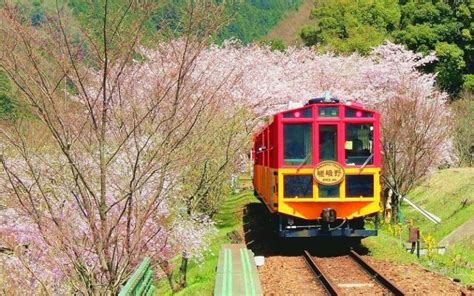 Sagano Scenic Railway: Romantic Train in Kyoto | JRailPass