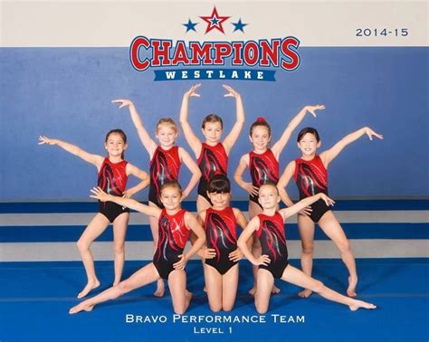 Check out the new oficial photo of our incredible level 1 gymnasts! Don't they look amazing ...