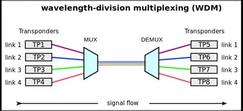 The WDM System - Fiber Optical Networking