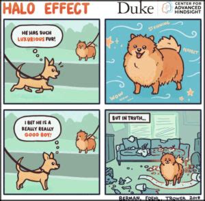 What is the Halo Effect? [12+ Examples in Marketing, Business, and ...