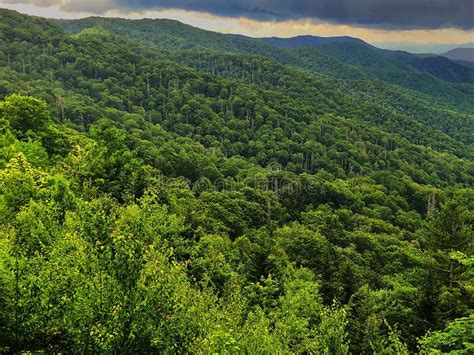 Green mountain stock image. Image of trees, covered - 157946459