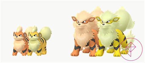 Can Growlithe be shiny in Pokémon Go? - Polygon