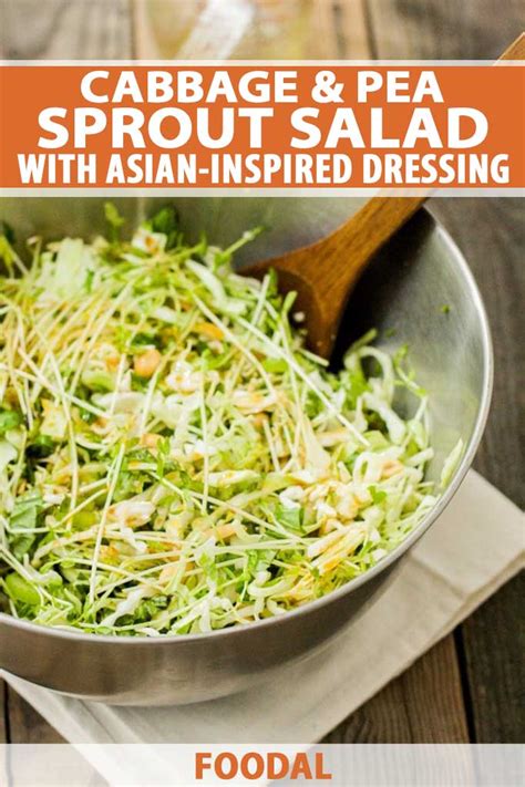 Cabbage & Pea Sprout Salad with Asian-Inspired Dressing | Foodal