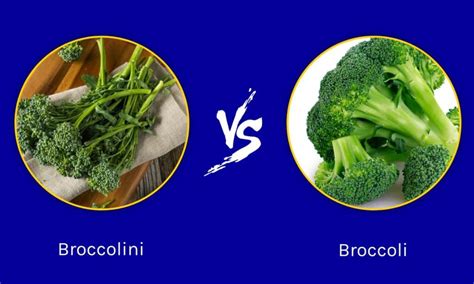 Broccolini vs Broccoli: 5 Key Differences