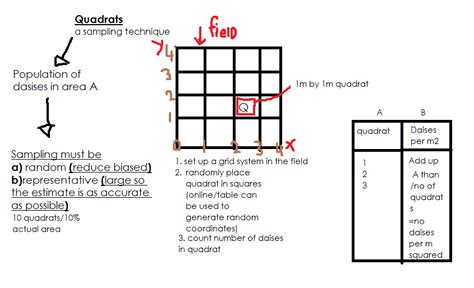 Ecosystems: 4.3 Quadrat sampling