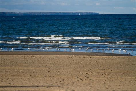 Lake Erie: Lake Erie Beaches