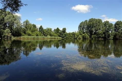 Langford Lakes Nature Reserve (Salisbury) - 2020 All You Need to Know ...