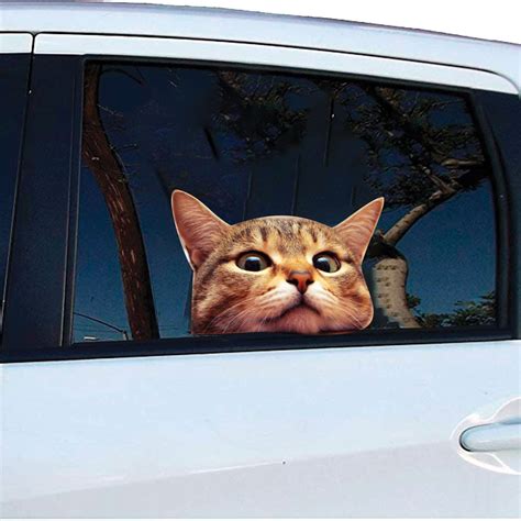 Cat Car Window Decal | Spilsbury