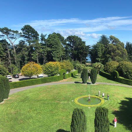 Larnach Castle & Gardens (Dunedin) - 2020 All You Need to Know BEFORE You Go (with Photos ...