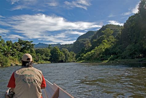 Gunung Mulu National Park - UNESCO World Heritage Site