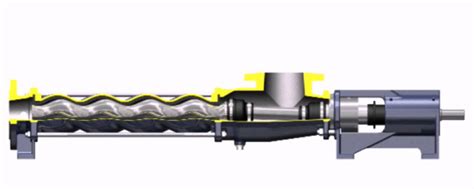 Seepex Progressive Cavity Pumps - Equal Wall Animation - YouTube