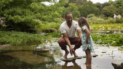 Discover plants at Cambridge University Botanic Garden | VisitEngland