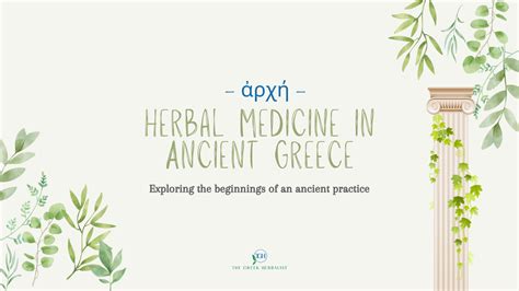 Αρχή: Herbal Medicine in Ancient Greece — The Greek Herbalist