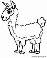 Llama Art Coloring Page  Free Printable Pages sketch template