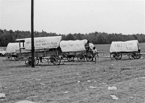 Mule Train | Quitman County, Mississippi