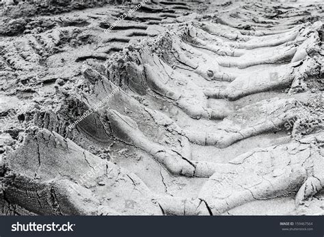 Off Road Tire Tracks On The Beach Sand. Stock Photo 159467564 : Shutterstock