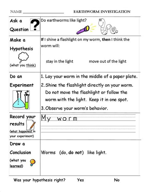 Scientific Method Online Worksheet