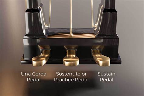 Piano Pedals, What Do Piano Pedals Do, Sustain Pedal