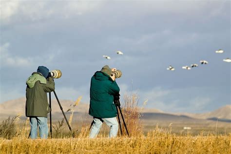 Bird watching - Agnantio Hotel Spa Sidirokastro Serres Greece