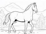 Tennessee Walking Horse Printable For Coloring  Page sketch template