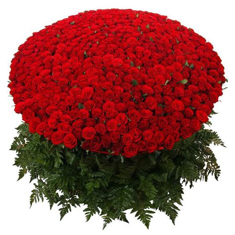 Rose Arrangement Round Shape | Flowers