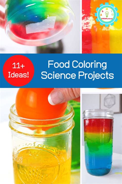 Easy Science Experiments with Food Coloring | Amazing science experiments, Easy science ...