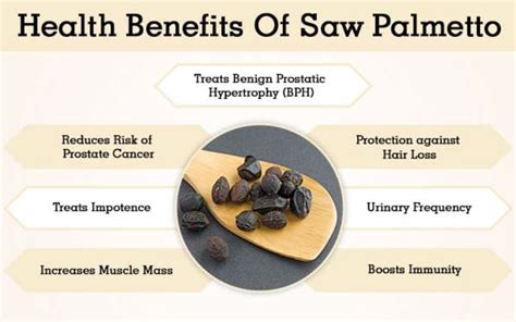 Saw Palmetto Health Benefits » The Nutraceutical Database