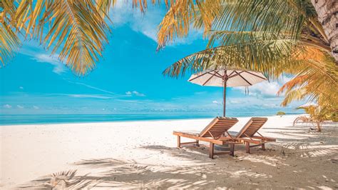 TUI Blue's new sale has up to 55% off – with all-inclusive beach ...