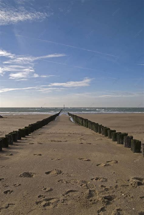 North Sea Beach With Breakwaternetherlands Sea Coastline Barrier Photo ...