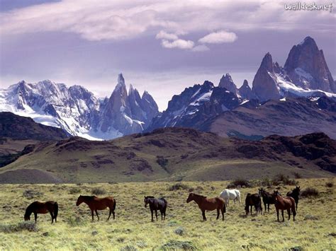 Viagem Virtual: Patagônia Argentina 03 - Argentina - América do Sul