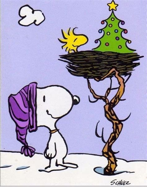 Pin by Mona Arizola on Christmas | Snoopy christmas, Peanuts christmas, Snoopy and woodstock