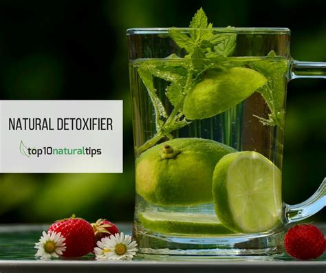 10 best ways to detoxify your body naturally at home - Top10 Natural Tips